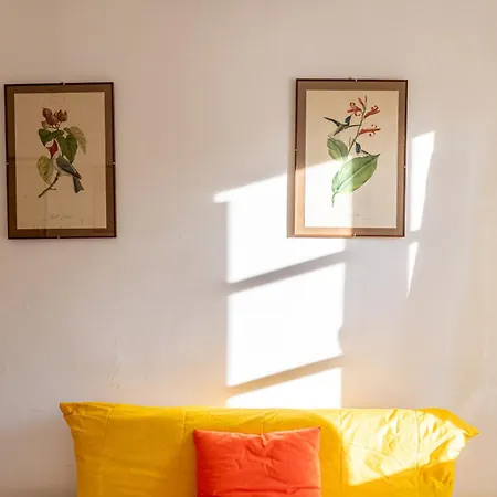 Orto D'oria